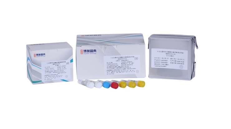 呼吸道病毒核酸检测试剂盒（恒温扩增芯片法）